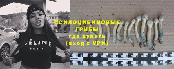прущие грибы Переславль-Залесский