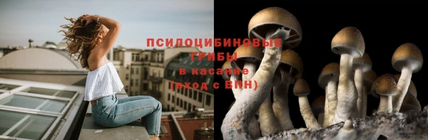 винт Пересвет