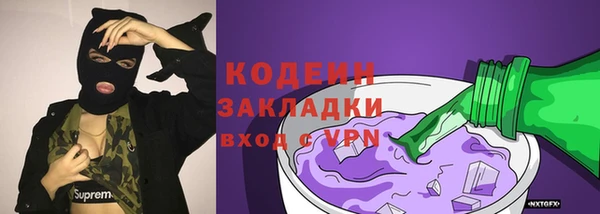 прущие грибы Переславль-Залесский